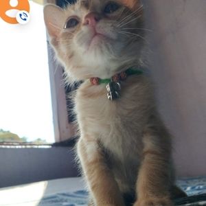 Meet your Posher, Ruby